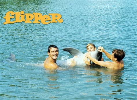 Flipper (1964-1967) Seizoen 1 Aflevering 1-10