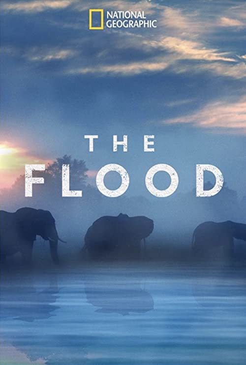 The Flood (2018) - 1080p WEB-DL DDP5 1 H 264 (Retail NLsub)