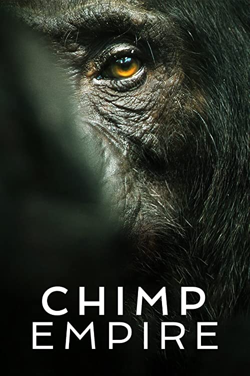 Chimp Empire (2023) Seizoen 01 - 2160p WEB-DL DDP5 1 Atmos DV HDR H 265 (NLsub)