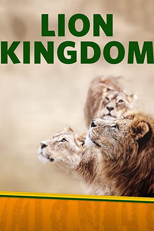 Lion Kingdom (2017) - 1080p WEB-DL DDP5 1 H 264 (Retail NLsub)