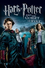 Harry Potter and the Goblet of Fire 2005 UHD BluRay 2160p DTS-X 7 1 HEVC REMUX-FraMeSToR