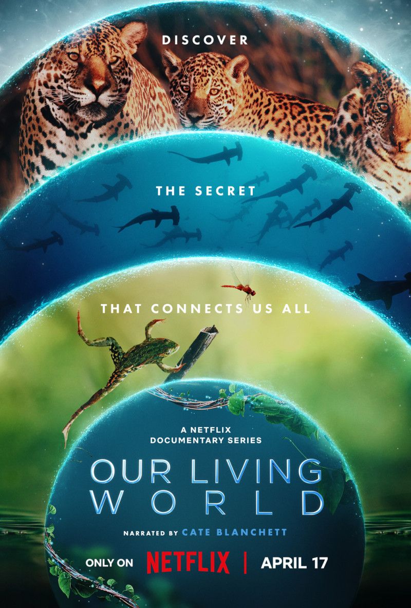 Our Living World (2024) S01 1080p WEB-DL DDP5 1 Atmos H 264 (NLsub)