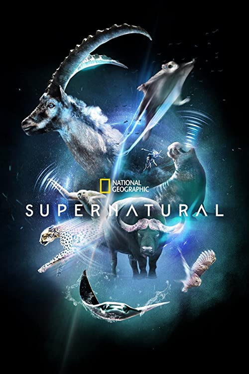 Super-Natural (2022) Seizoen 01 - 1080p WEB-DL DDP5 1 H 264 (Retail NLsub)