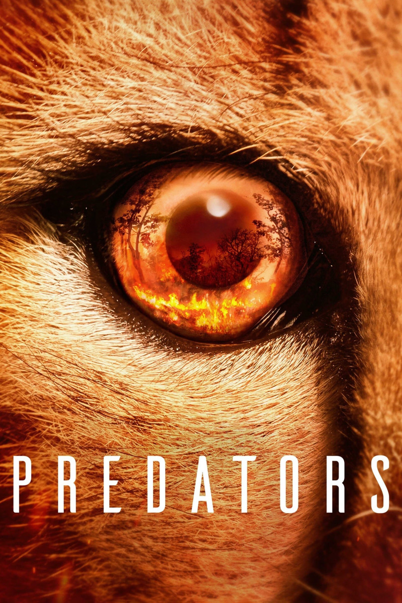 Predators (2022-2023) Seizoen 01 - 1080p WEB-DL DDP5 1 Atmos H 264 (NLsub)