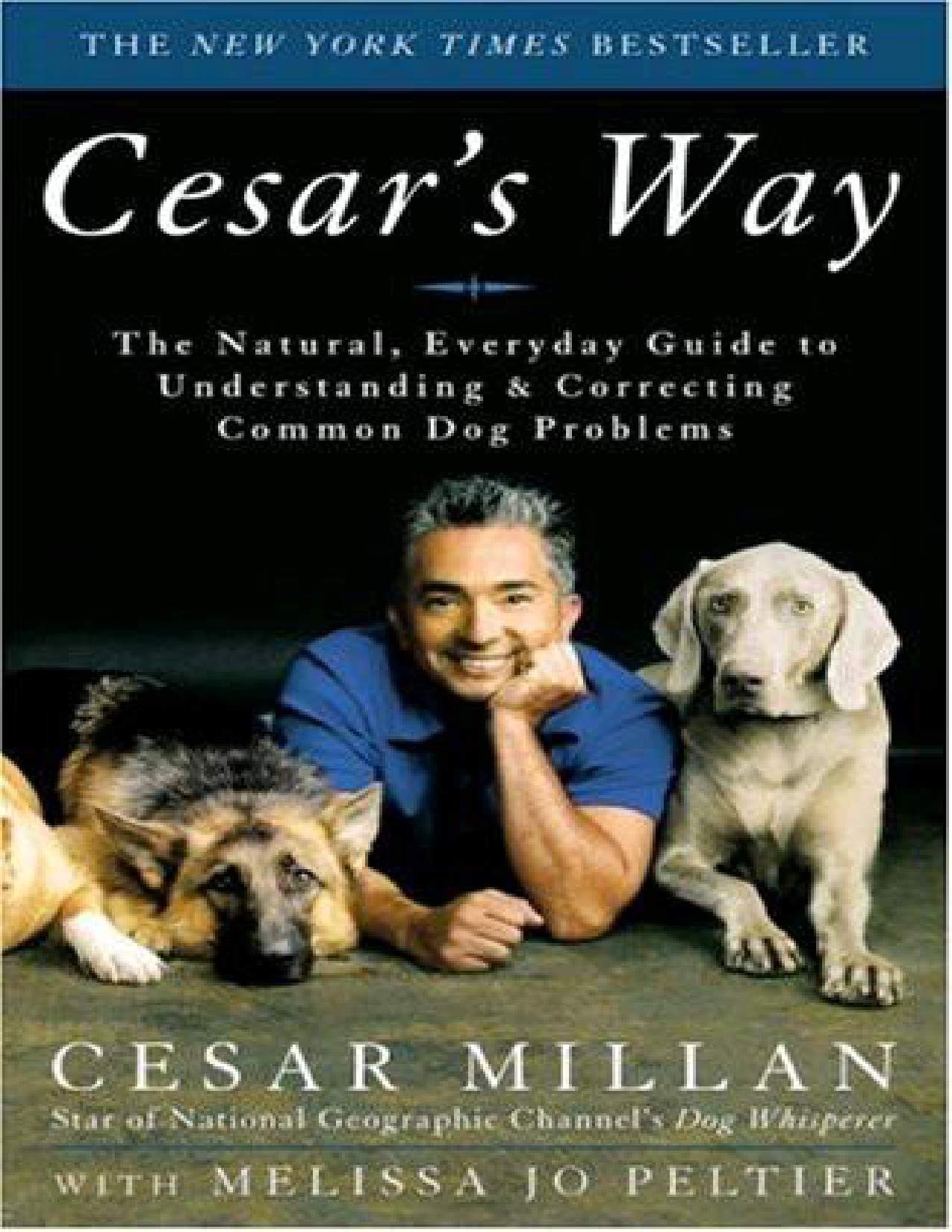 Cesars Way Millan Cesar