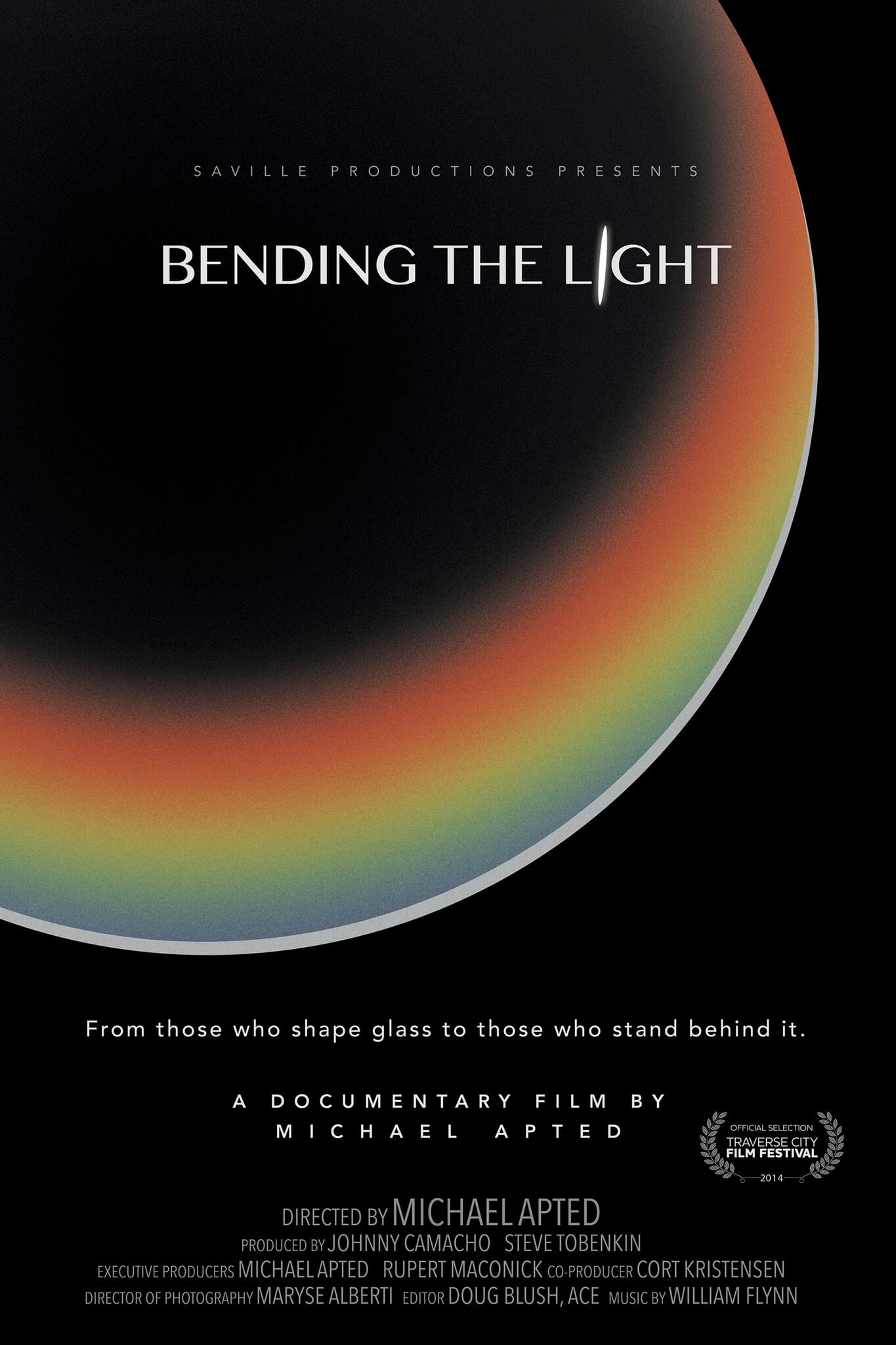 Bending the Light 2014 1080p WEBRip DD2 0 x264-NTb