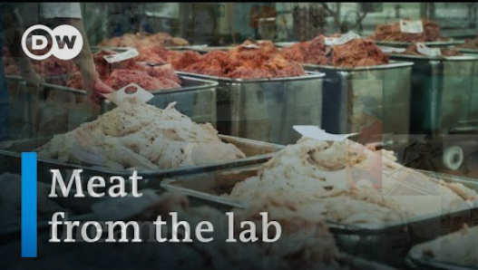 Meat from the lab