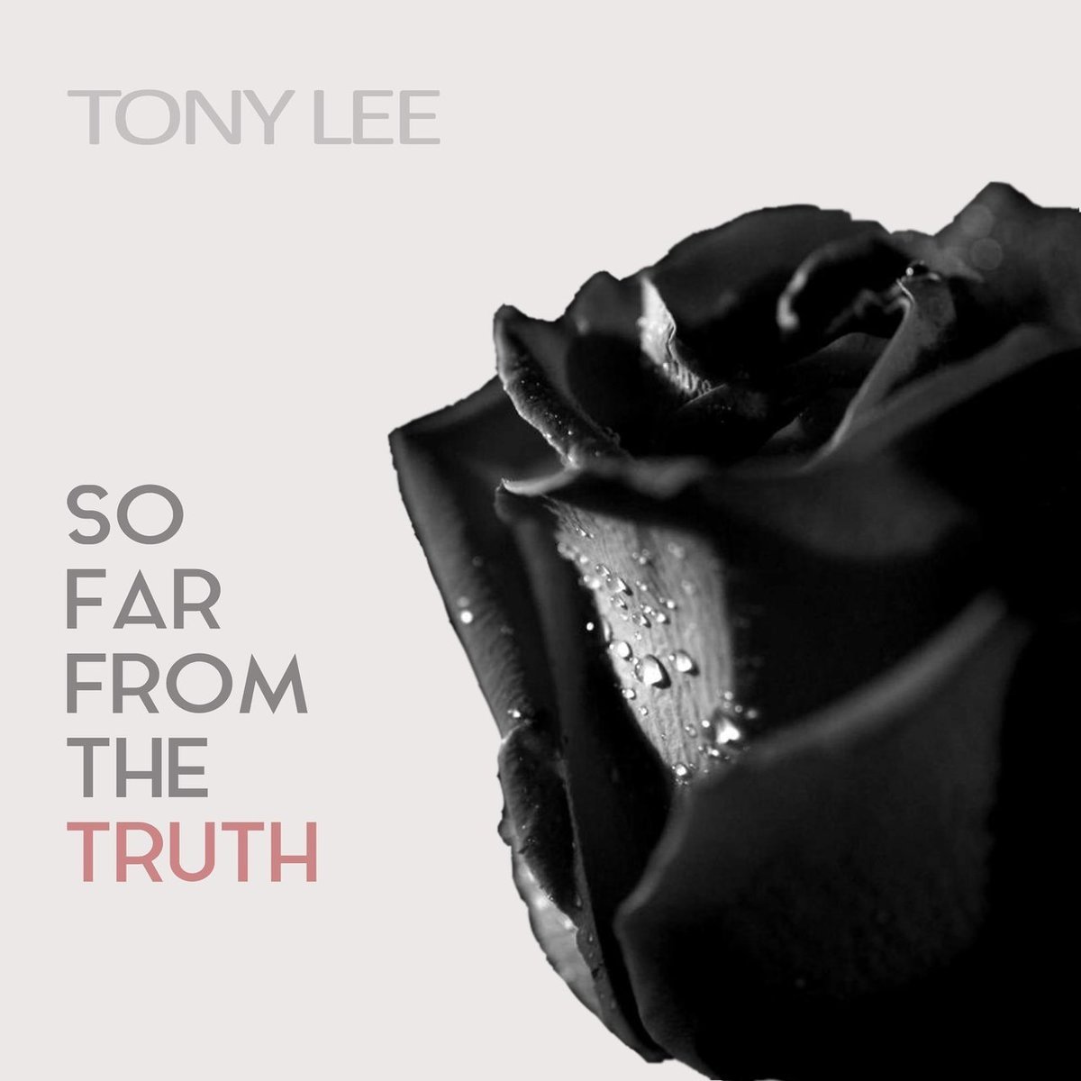 Tony Lee · So Far From The Truth (2018 · FLAC+MP3)