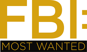 FBI Most Wanted S04E07 NL subs
