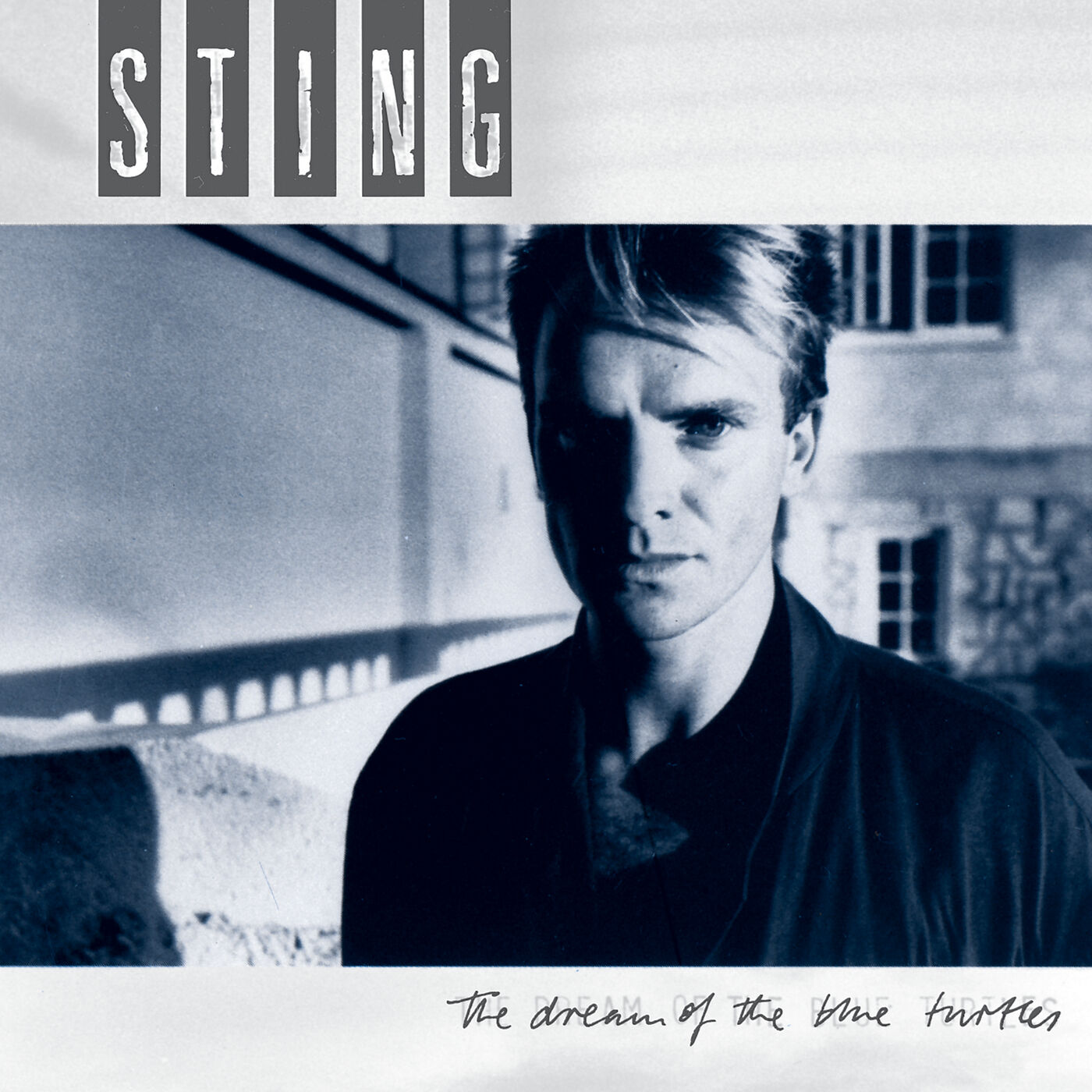 Sting 1985 The Dream Of The Blue Turtles 24-192