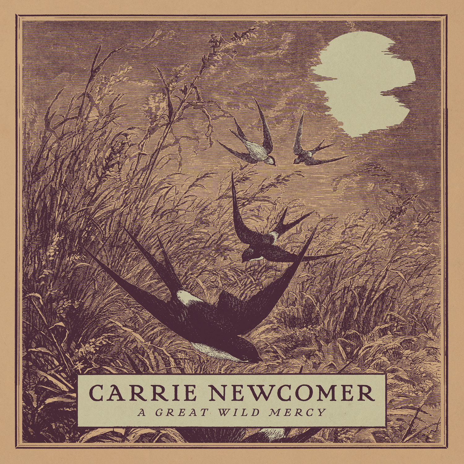 Carrie Newcomer - 2023 - A Great Wild Mercy (24-48)