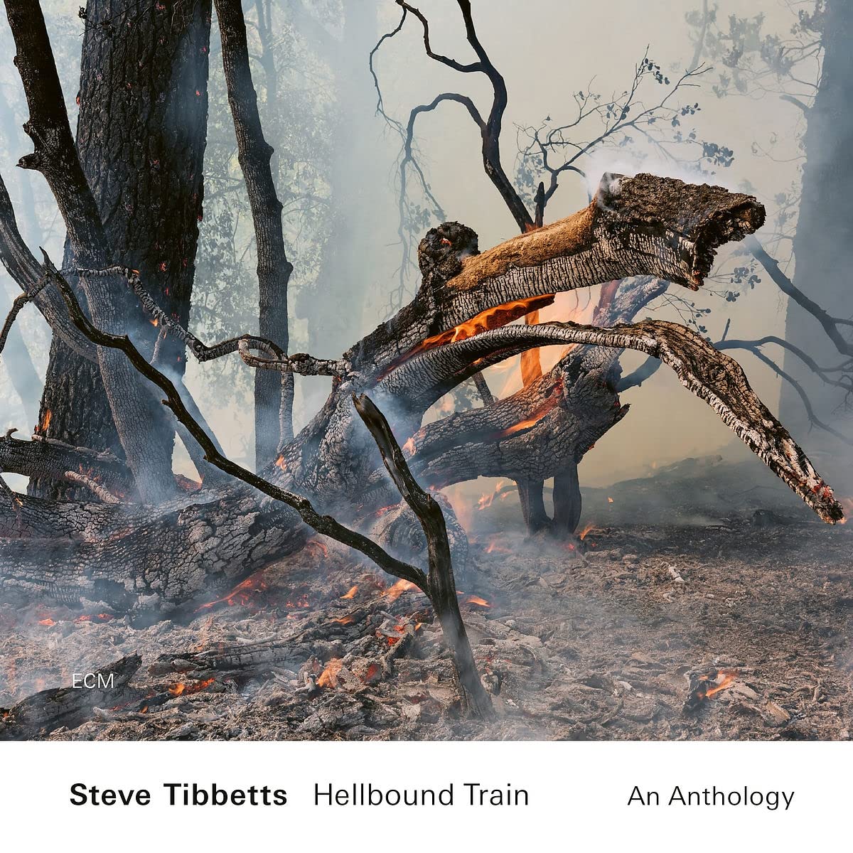 Steve Tibbetts - Hellbound Train An Anthology (2cd)