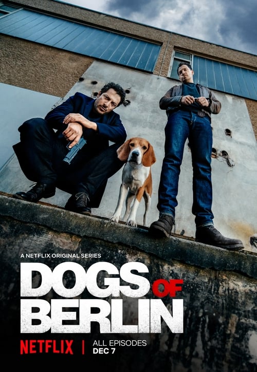Dogs of Berlin - Miniserie - 1080p HEVC x265 (Retail NL)
