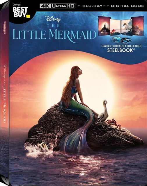 The Little Mermaid (2023) BluRay 2160p DV HDR TrueHD AC3 HEVC NL-RetailSub REMUX + NL gesproken