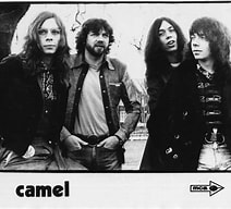 Camel - 3 Albums NZBonly