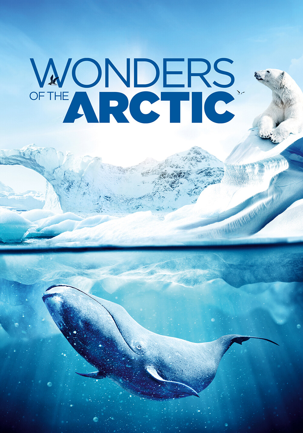 IMAX Wonders of the Arctic 2014 2160p UHD HDR BluRay x265 10bit DD5 1  SGJ5-LorD