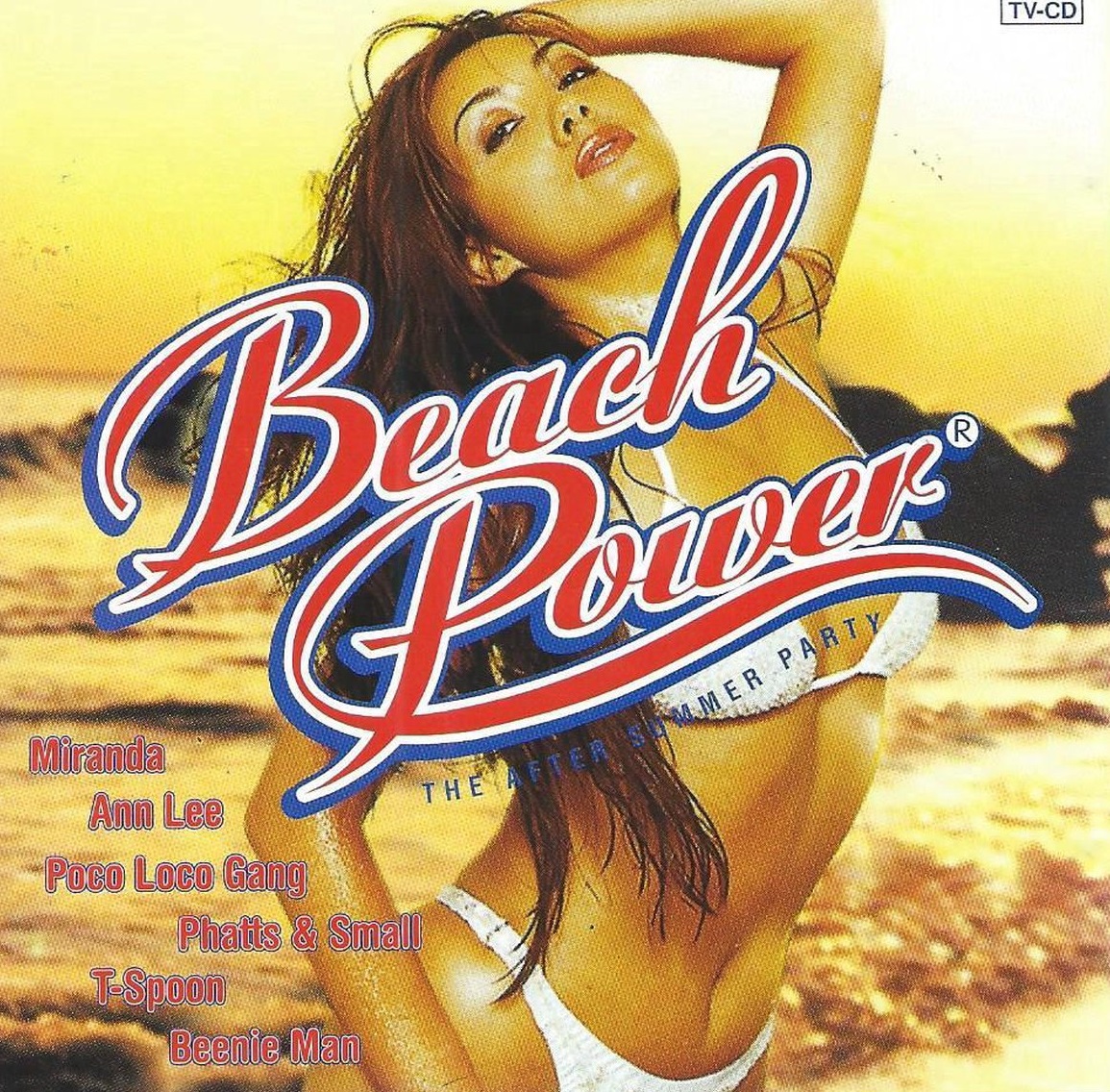 Beach Power - The After Summer Party (1999)