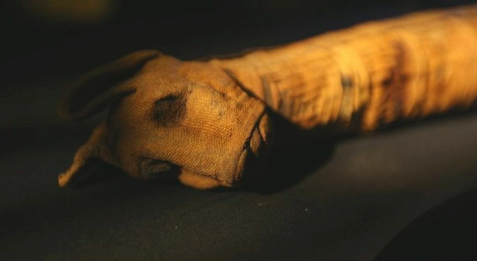 BBC-70 Miljoen Dierlijke Mummies Egyptes Duistere Geheim 1080p HDTV x264-DDF