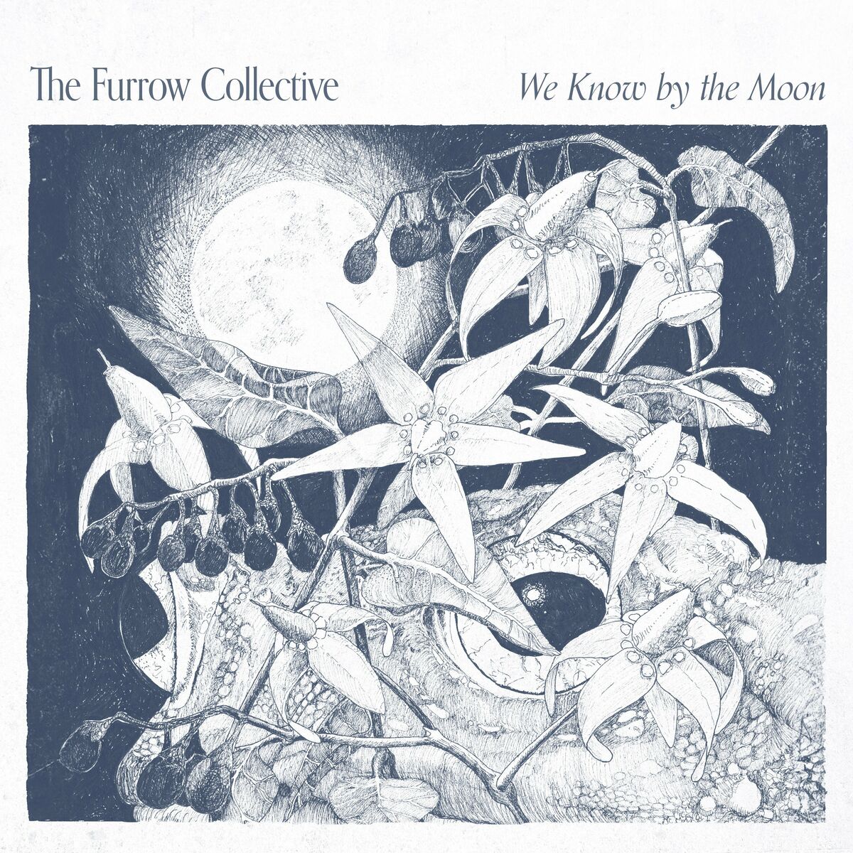 The Furrow Collective - 2023 - We Know By The Moon