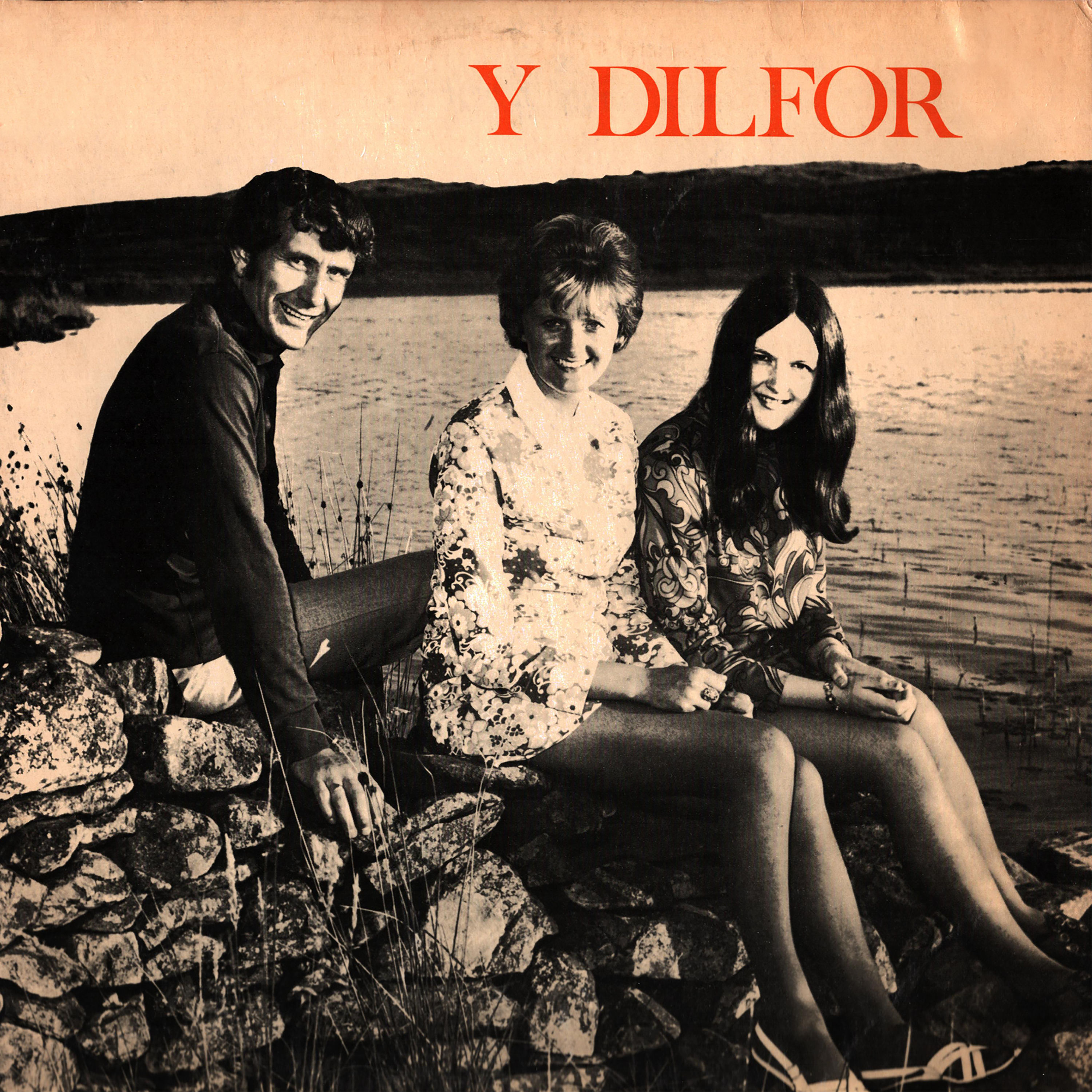 Y Dilfor - 1973-2021 - Y Dilfor (24-44.1)