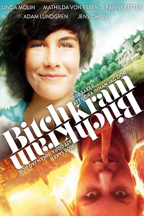 Bitchkram (2012) Bitch Hug - 1080p Webrip groot