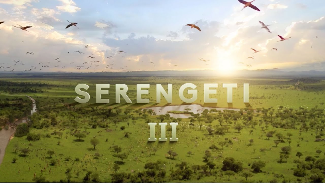 BBC-Serengeti 2023 S03 GG NLSUBBED 720p WEB x264-DDF