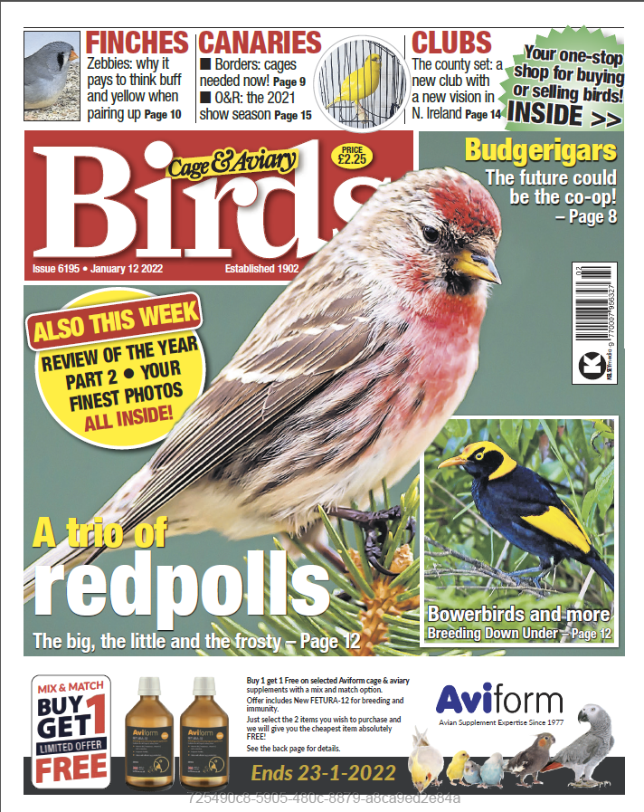 Cage & Aviary Birds - Issue 6195, January 12, 2022