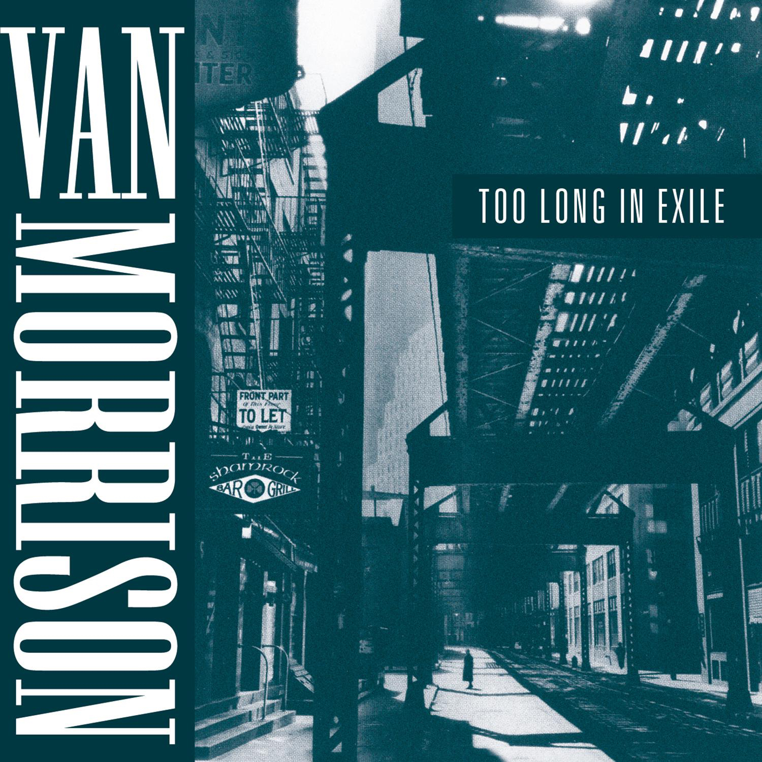 Van Morrison 1993 - Too Long In Exile (2020) 24bit 96Khz FLAC
