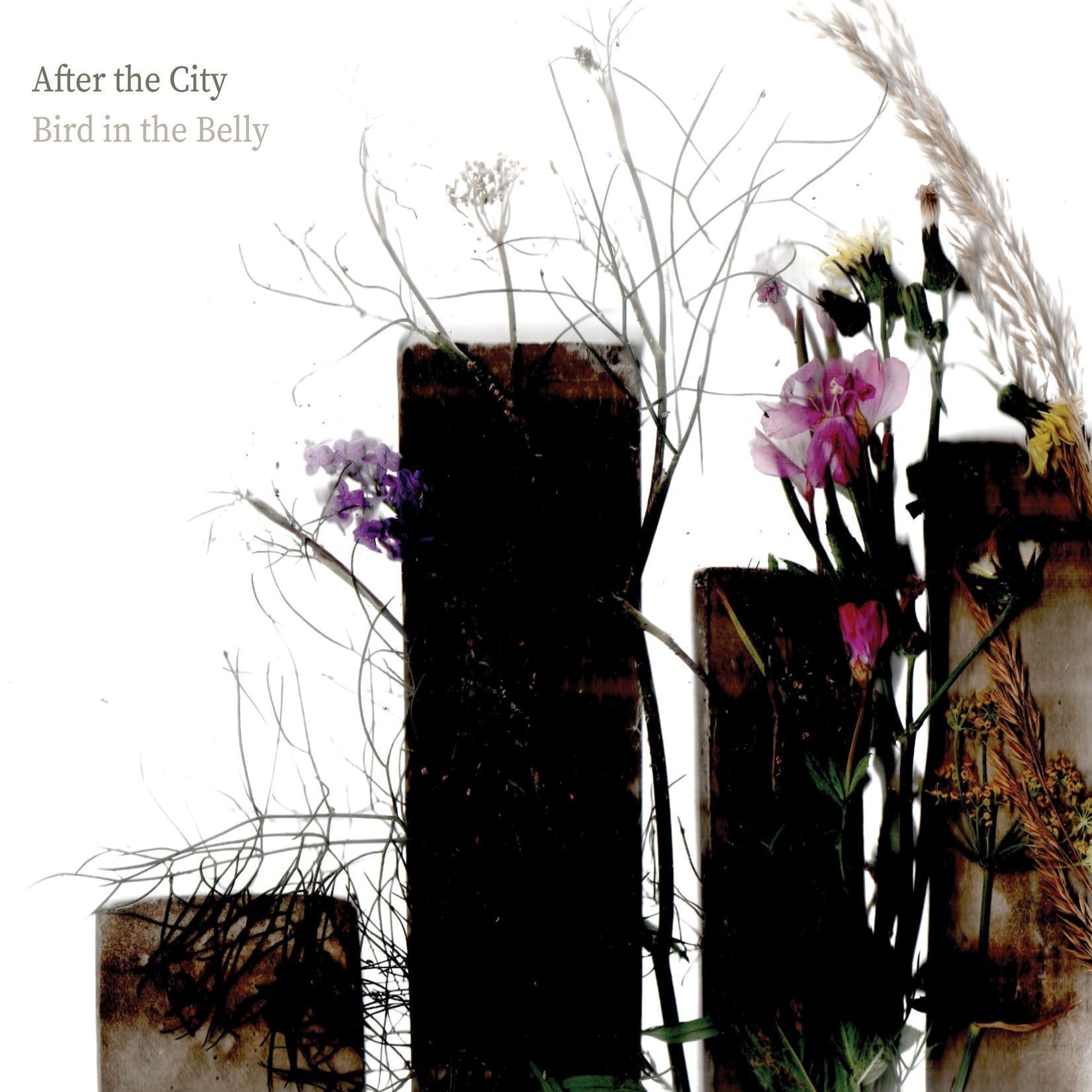 Bird in the Belly - 2022 - After the City
