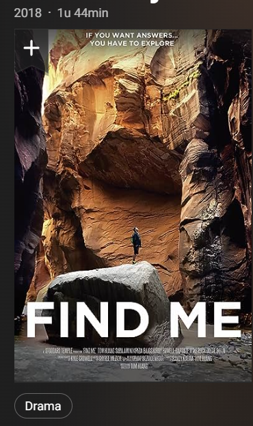 Find Me (2018) 720p WEBRip NLSubs