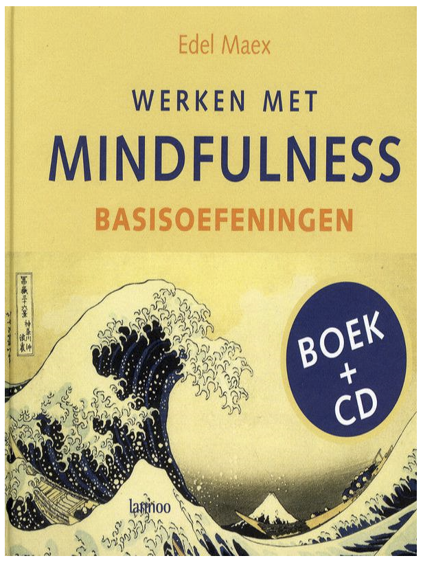 Werken met mindfulness basisoefeningen - Edel Maex