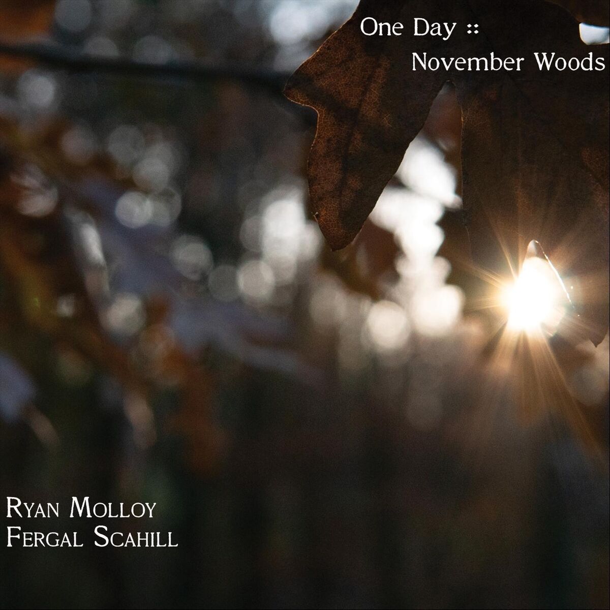 One Day – 2020 - November Woods