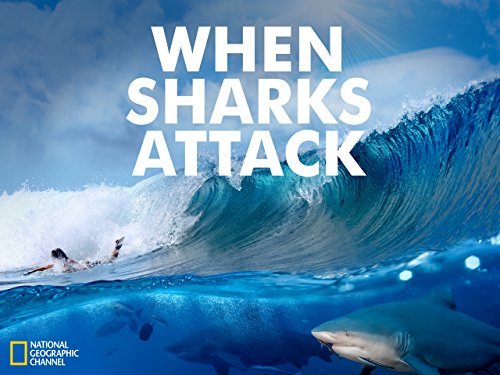 When Sharks Attack - Seizoen 03 - 1080p WEB-DL DDP5 1 H 264 (Retail NLsub)