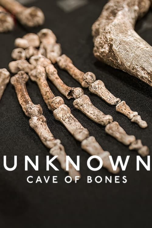 Unknown Cave Of Bones 2023 1080p WEBRip x265 10bit 5 1-LAMA