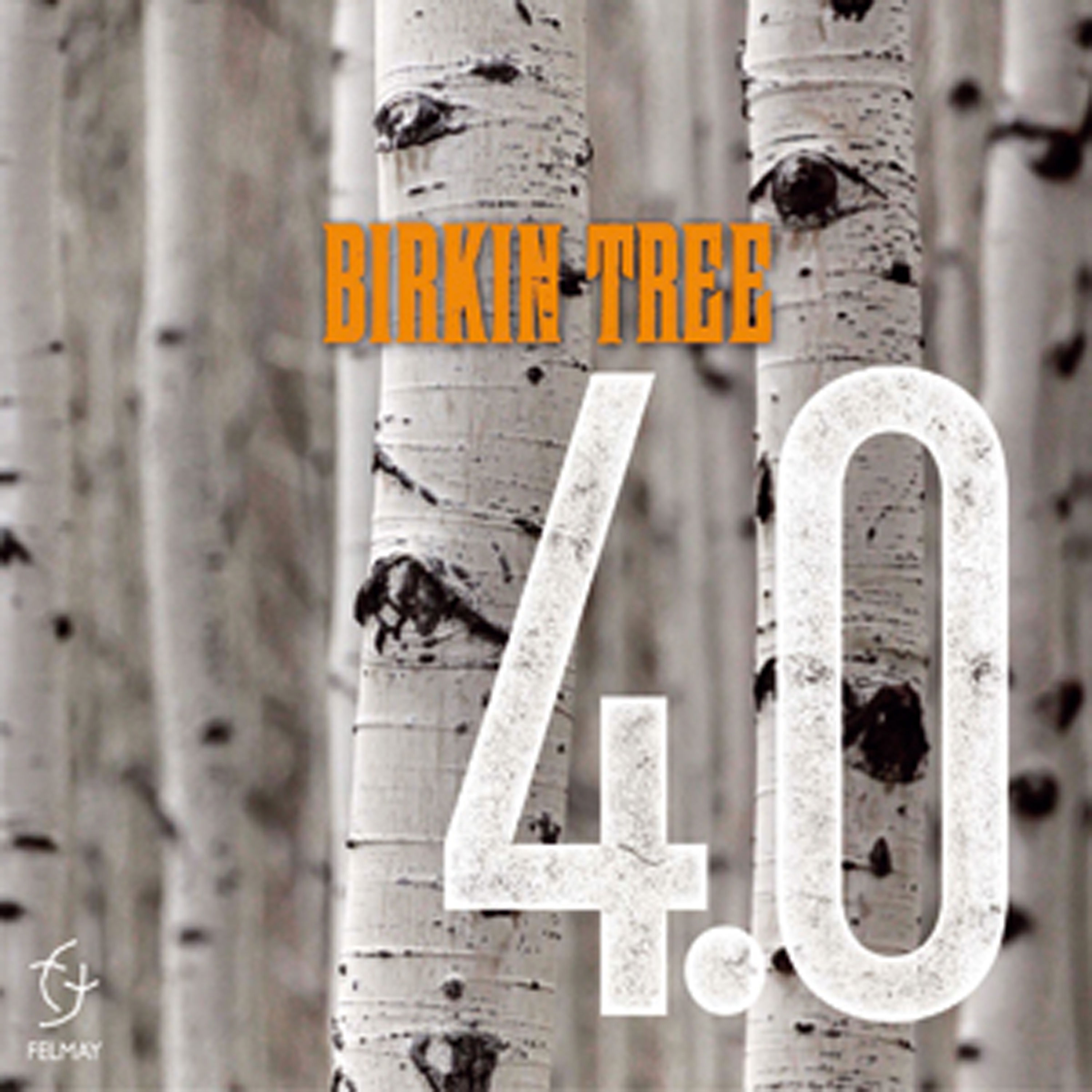 Birkin Tree – 2022 - 4.0