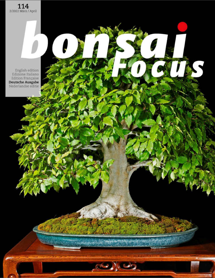 Bonsai Focus 2-2022