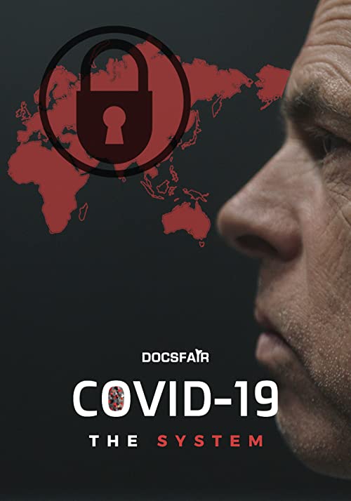 COVID-19 The System (2020) 1080p AMZN WEB-DL DDP2.0 H264 NL Gesproken