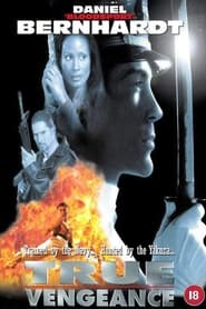 True Vengeance 1997 DVDRip XviD