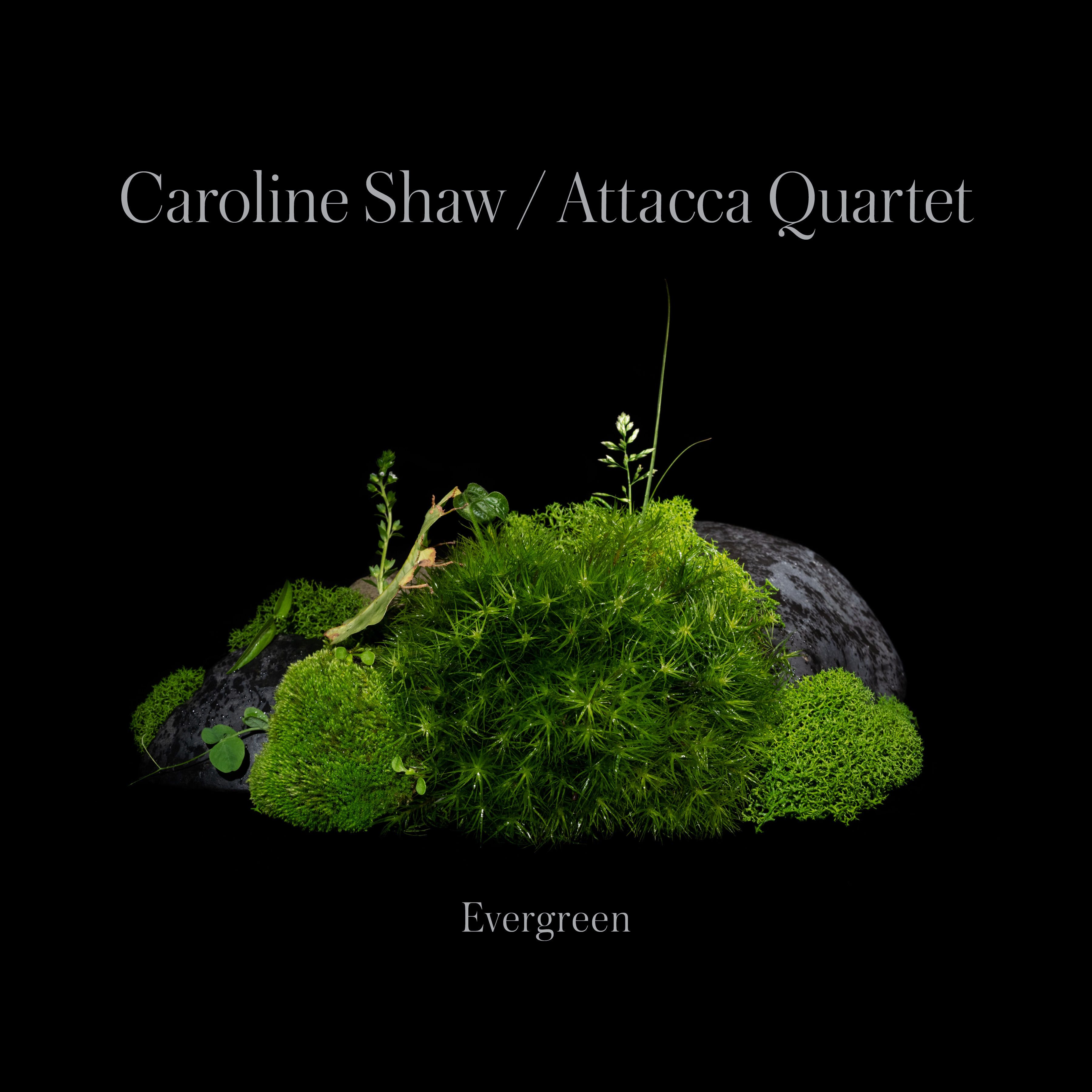 Caroline Shaw - Evergreen - Attaca Quartet 24-96