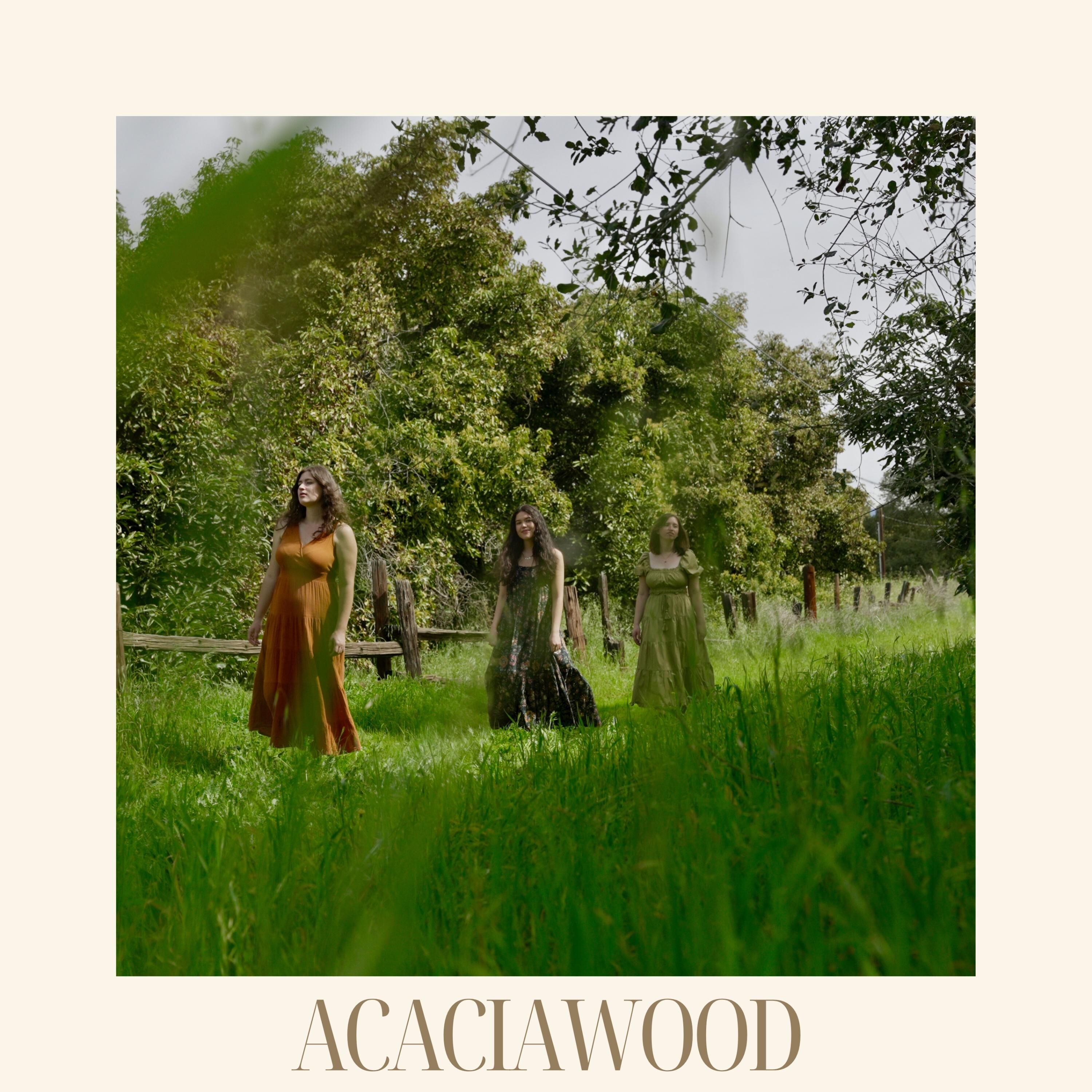 Acaciawood - 2024 - Acaciawood