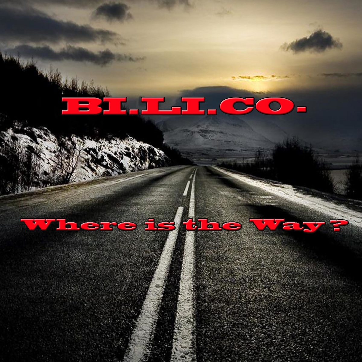 BI.LI.CO. - Where Is The Way (Web Single) (1995) FLAC