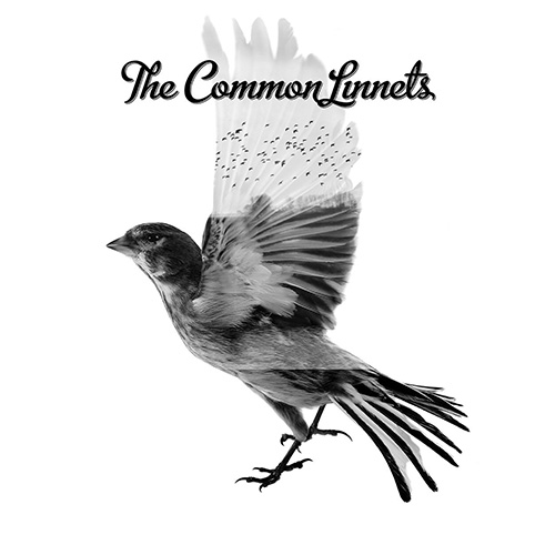 The Common Linnets - The Common Linnets (2014)