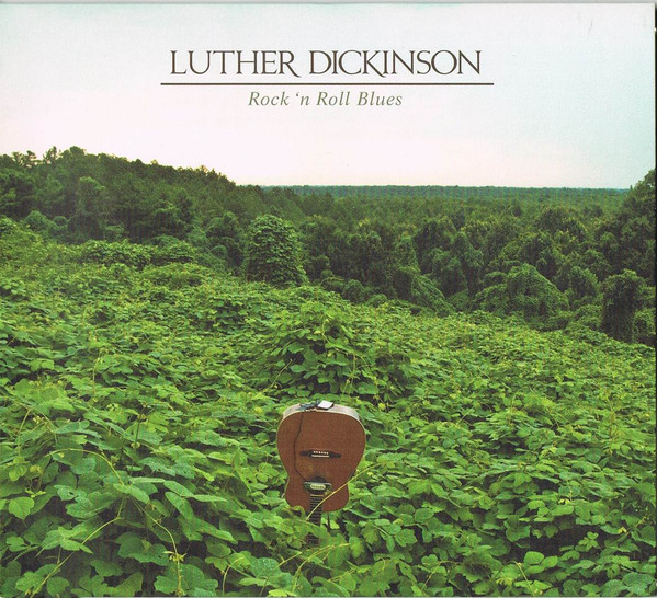 Luther Dickinson Rock 'n Roll Blues 2014