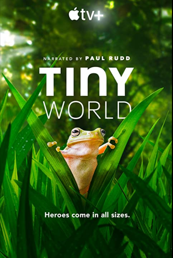 Tiny World S01E01 1080p Retail NL Subs