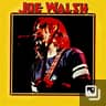 Joe Walsh - 15 Albums Flac
