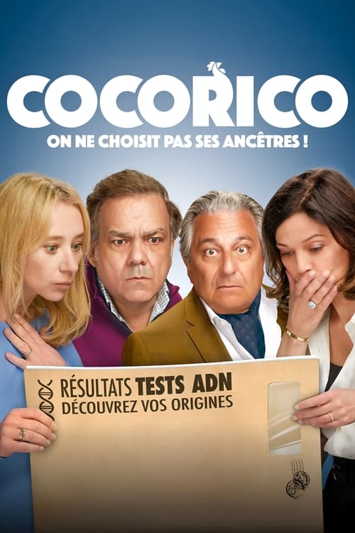 Cocorico 2024 1080p BluRay DDP5 1 x264-PTer