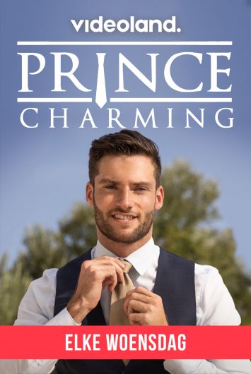 Prince Charming - Seizoen 02 Afl. 08 (2021) - 1080p. x264 MKV - WebRip - NLSubs