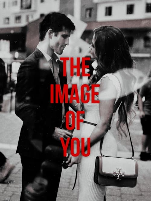 The Image of You 2024 1080p HD WEBRip 1 21GiB AAC x264-PortalGoods