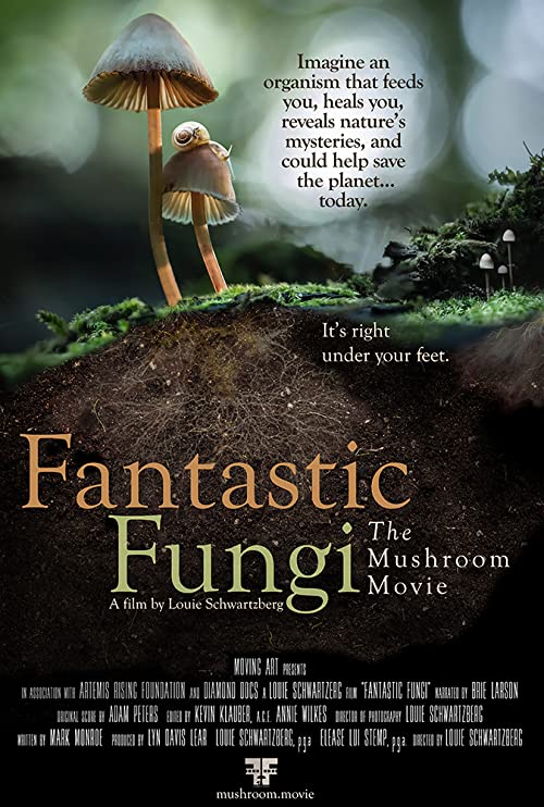 Fantastic Fungi 2019 - 1080p WEB-DL AAC2 0 x264 (Retail NLsub)