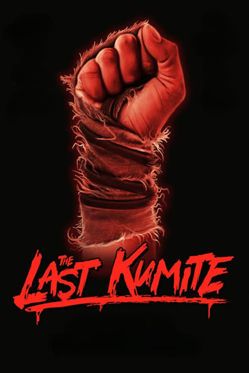 The Last Kumite 2024 BluRay 1080p DDP 5 1 x264-hallowed